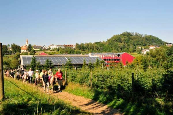 Familienhotel Reiterhof Runding Kültér fotó